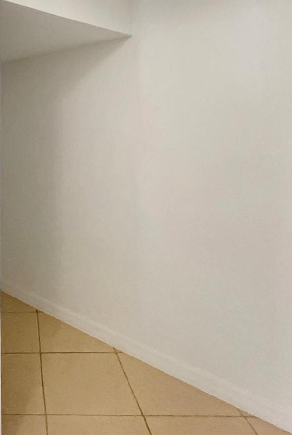 Photo #12