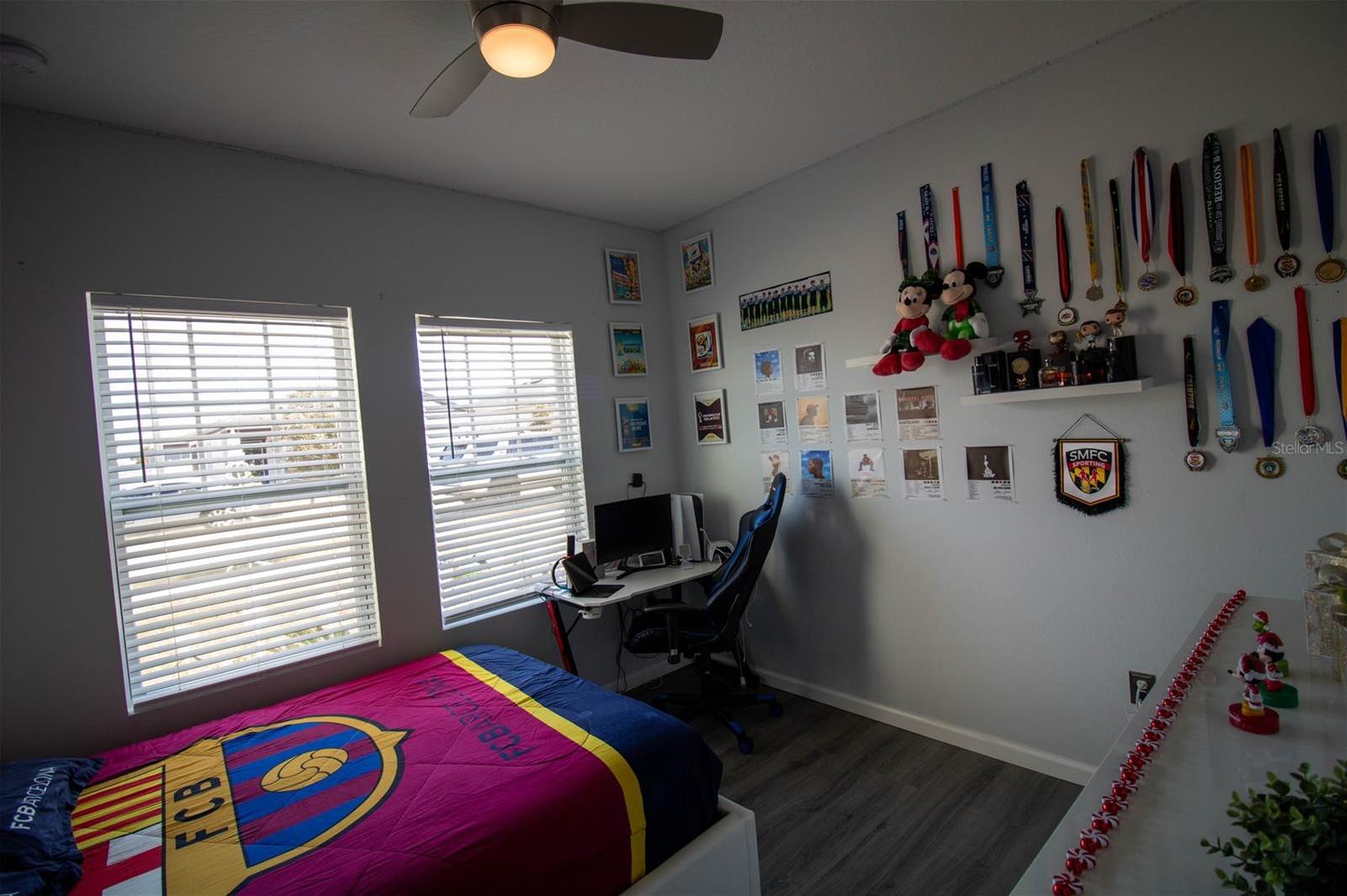 Photo #15
