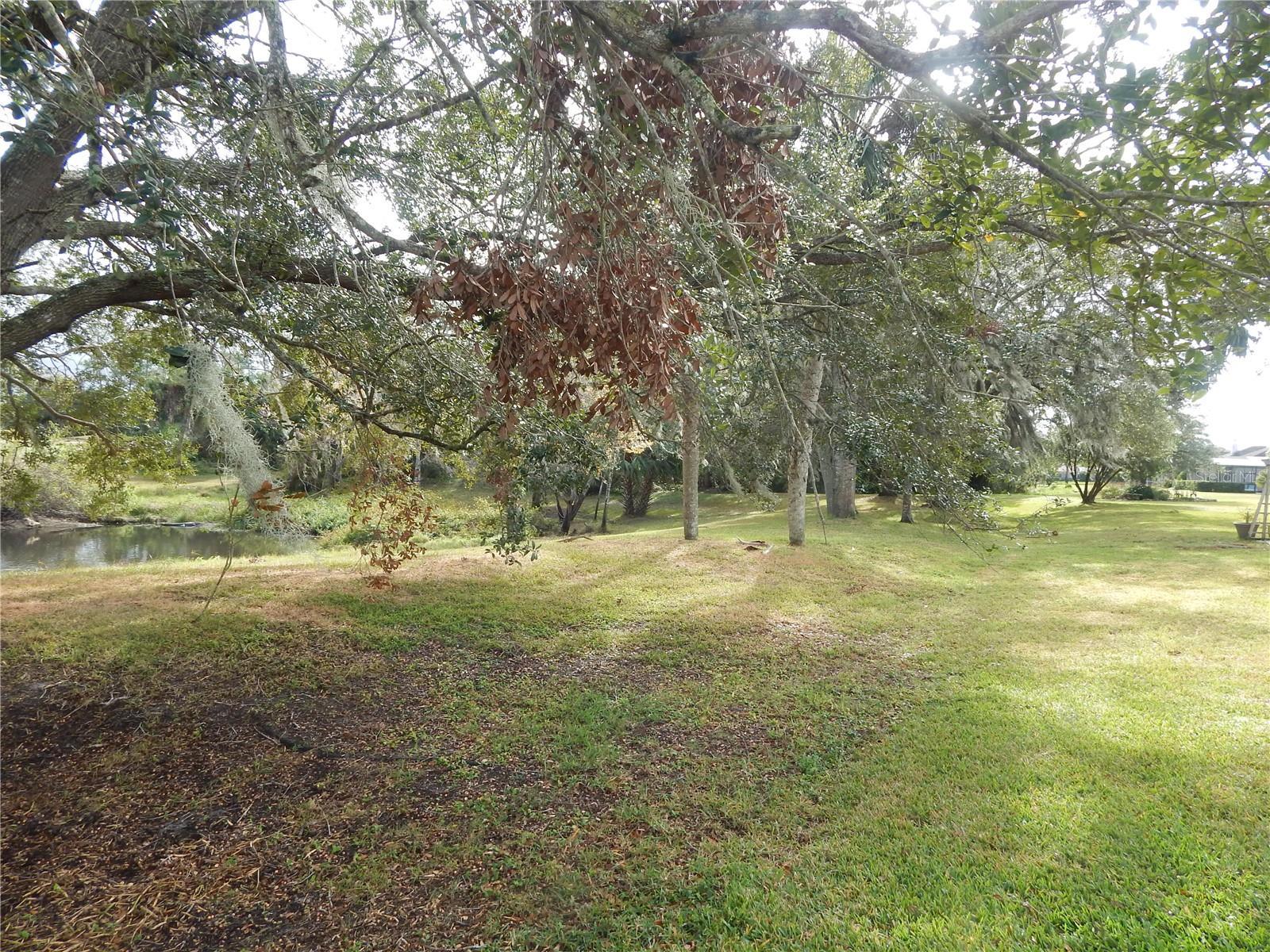 Photo #35