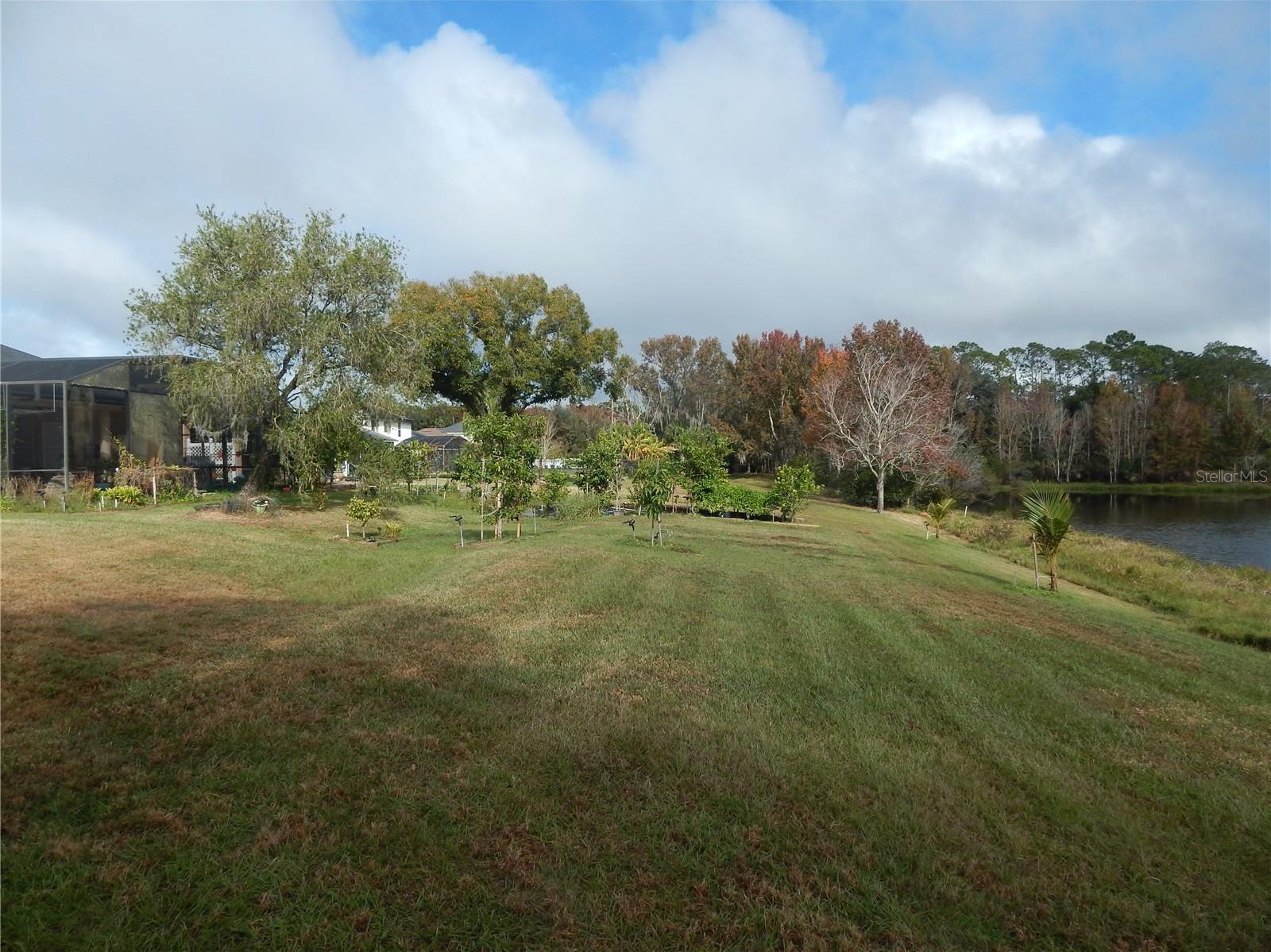Photo #38
