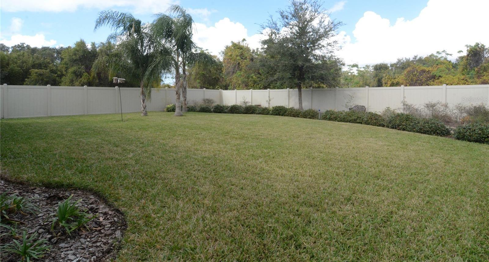 Photo #23