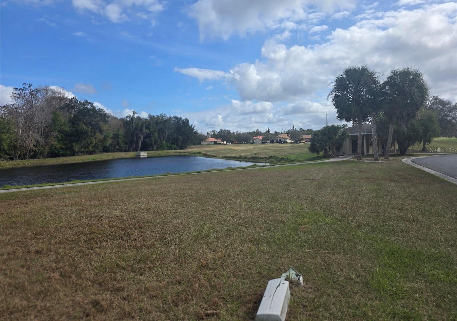 Photo #41