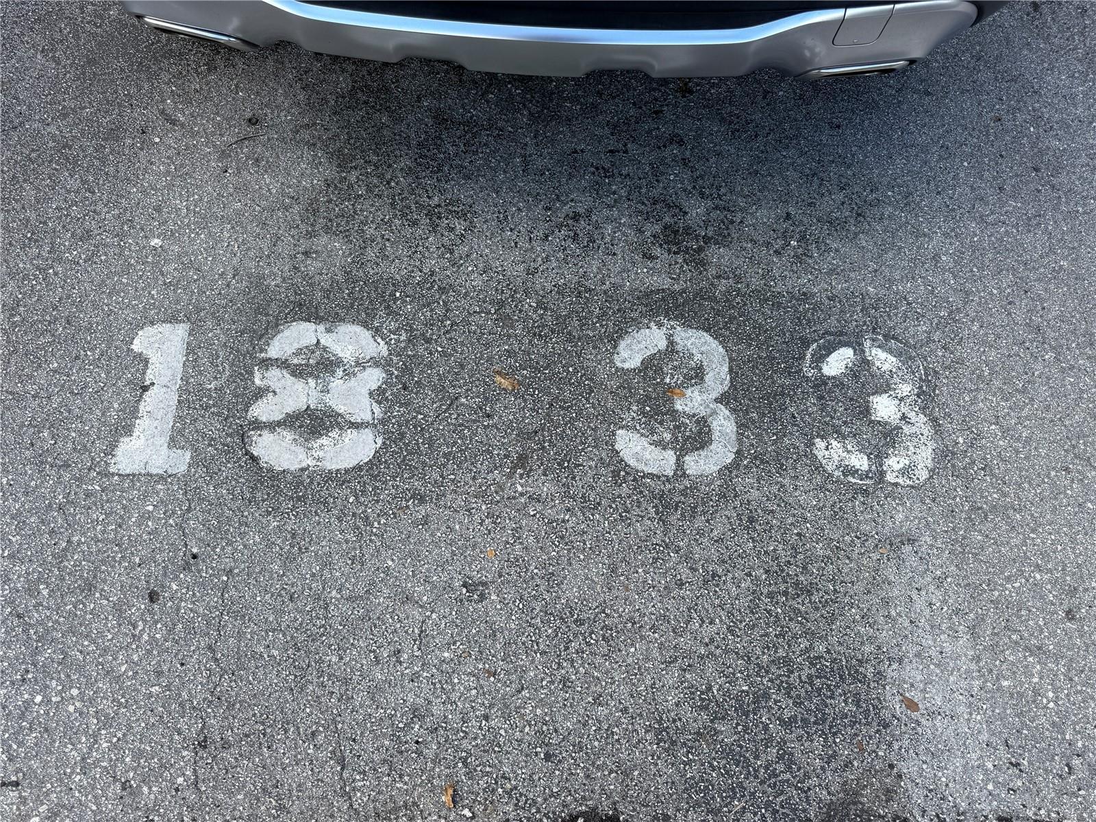 Photo #39