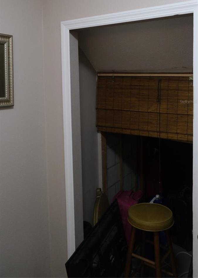 Photo #12