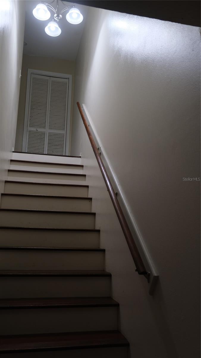 Photo #19