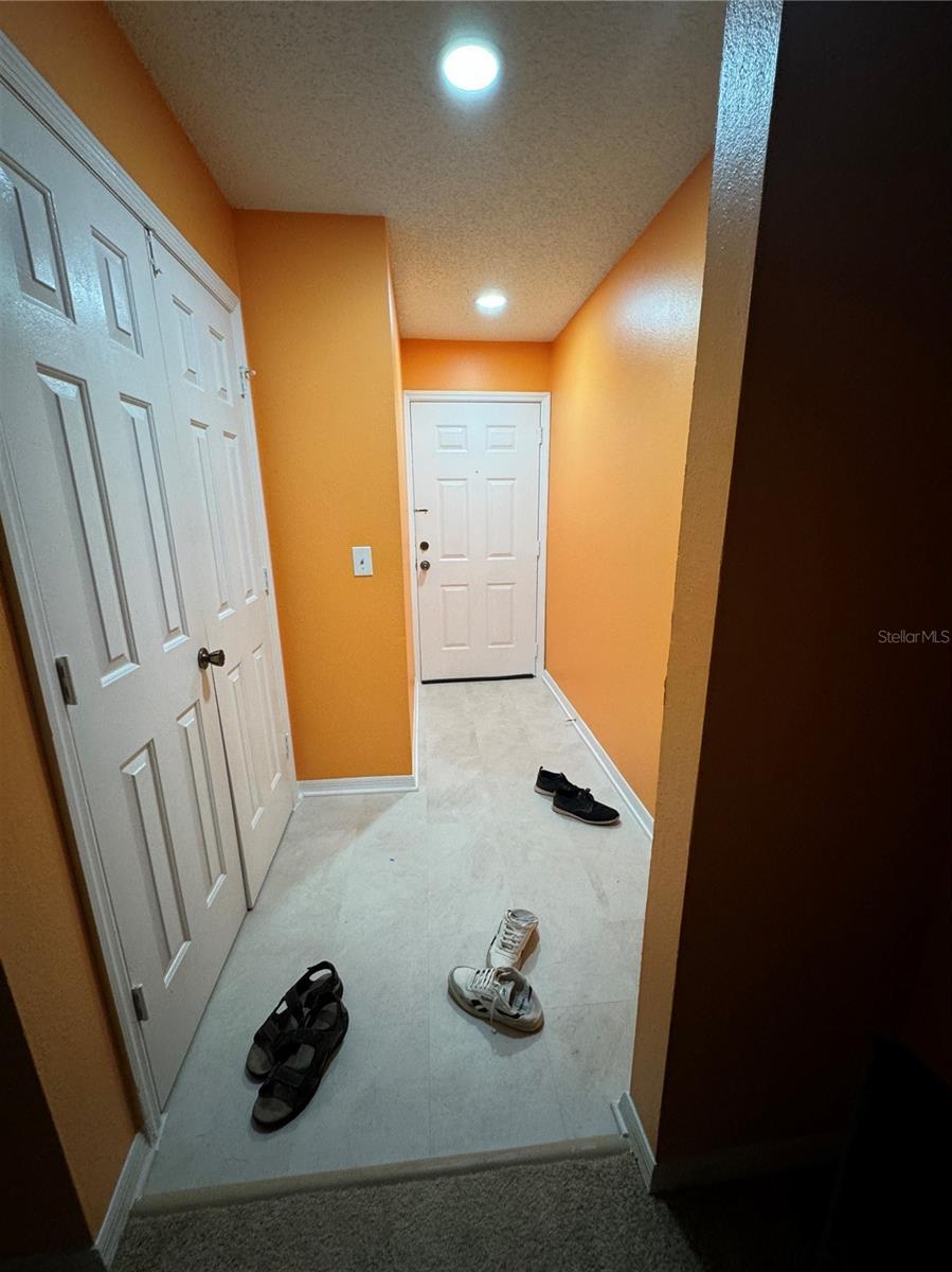 Photo #11