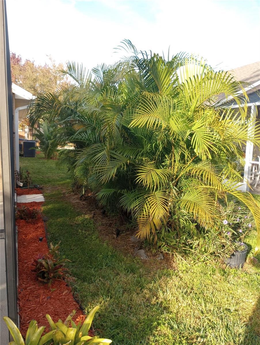 Photo #22