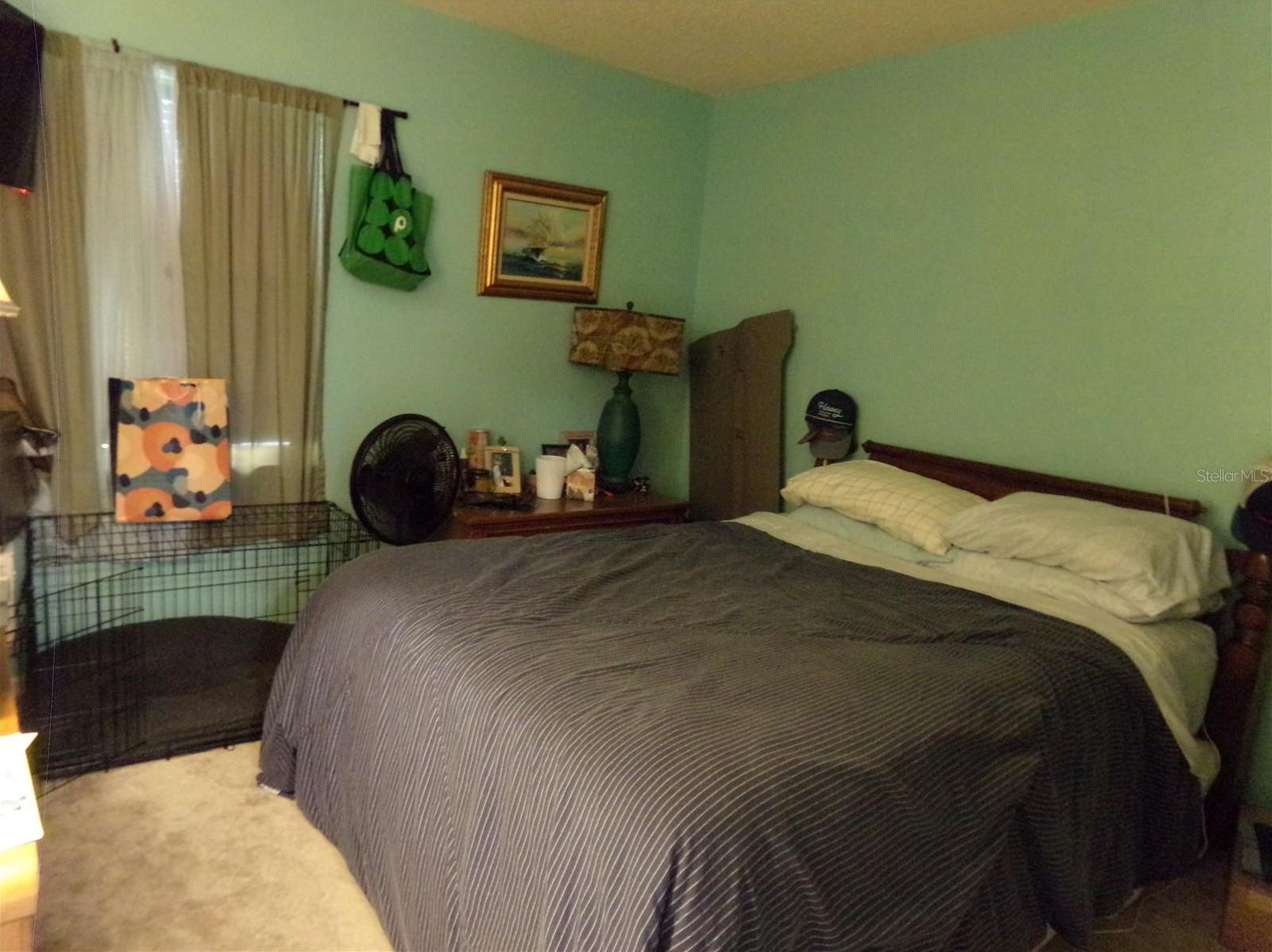 Photo #15