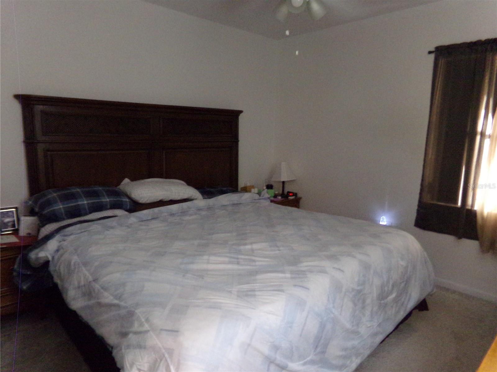 Photo #16
