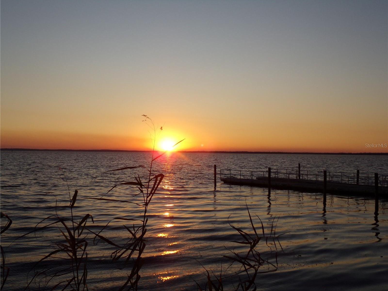 Photo #40
