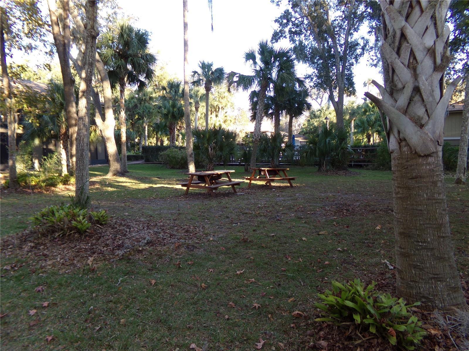Photo #5