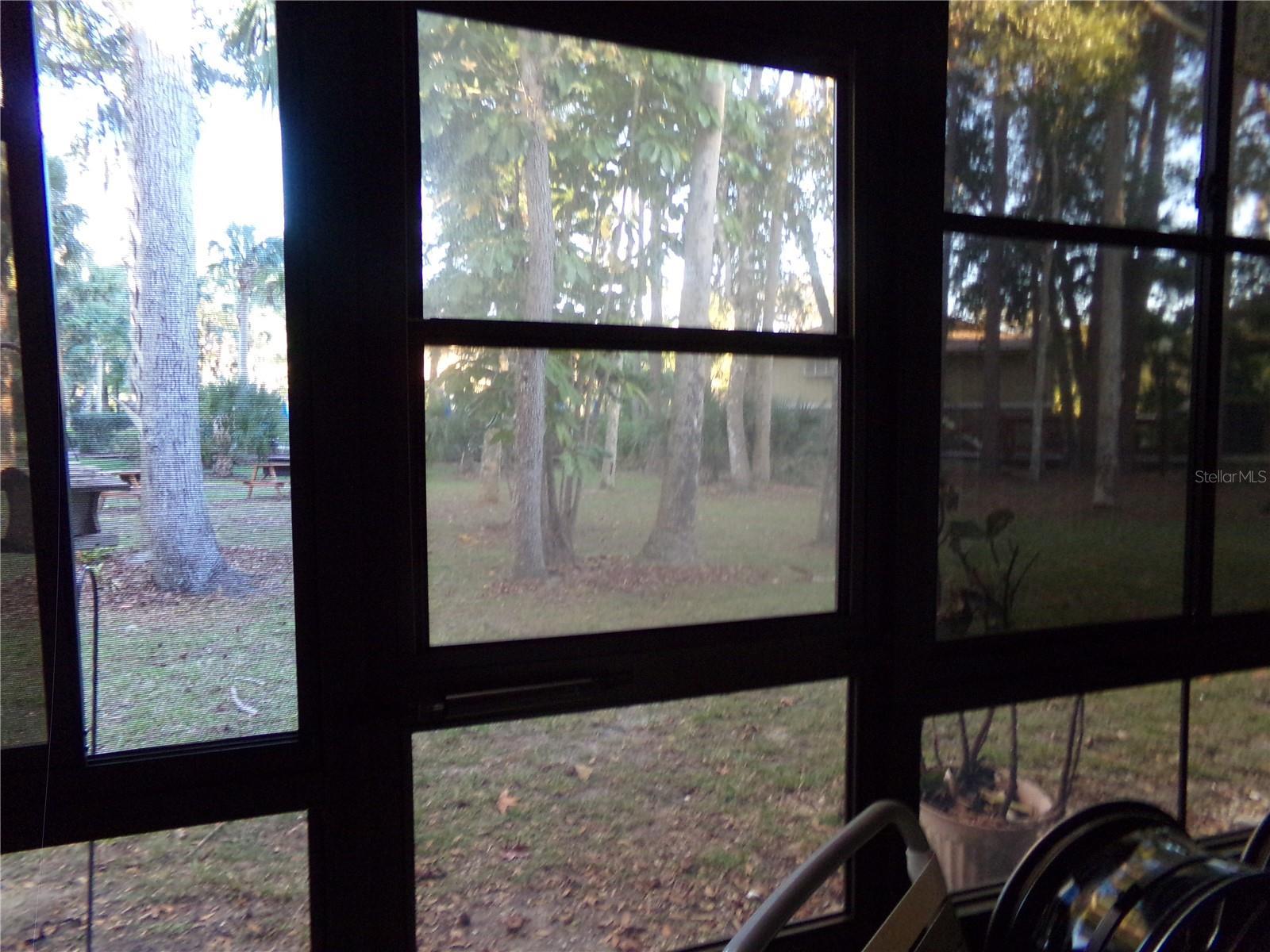 Photo #22
