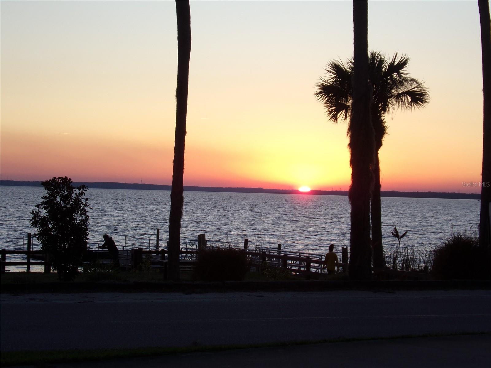 Photo #45