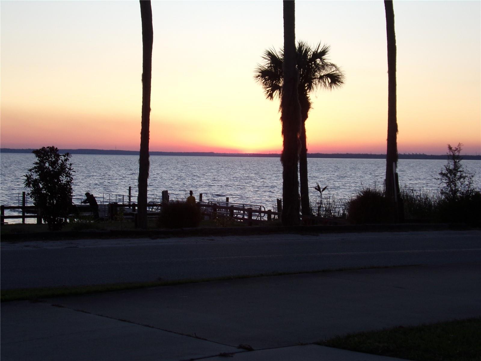 Photo #46