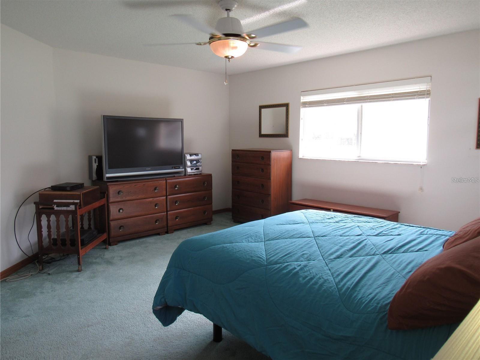 Photo #15