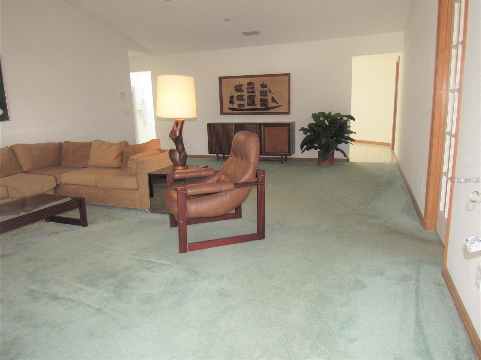 Photo #8