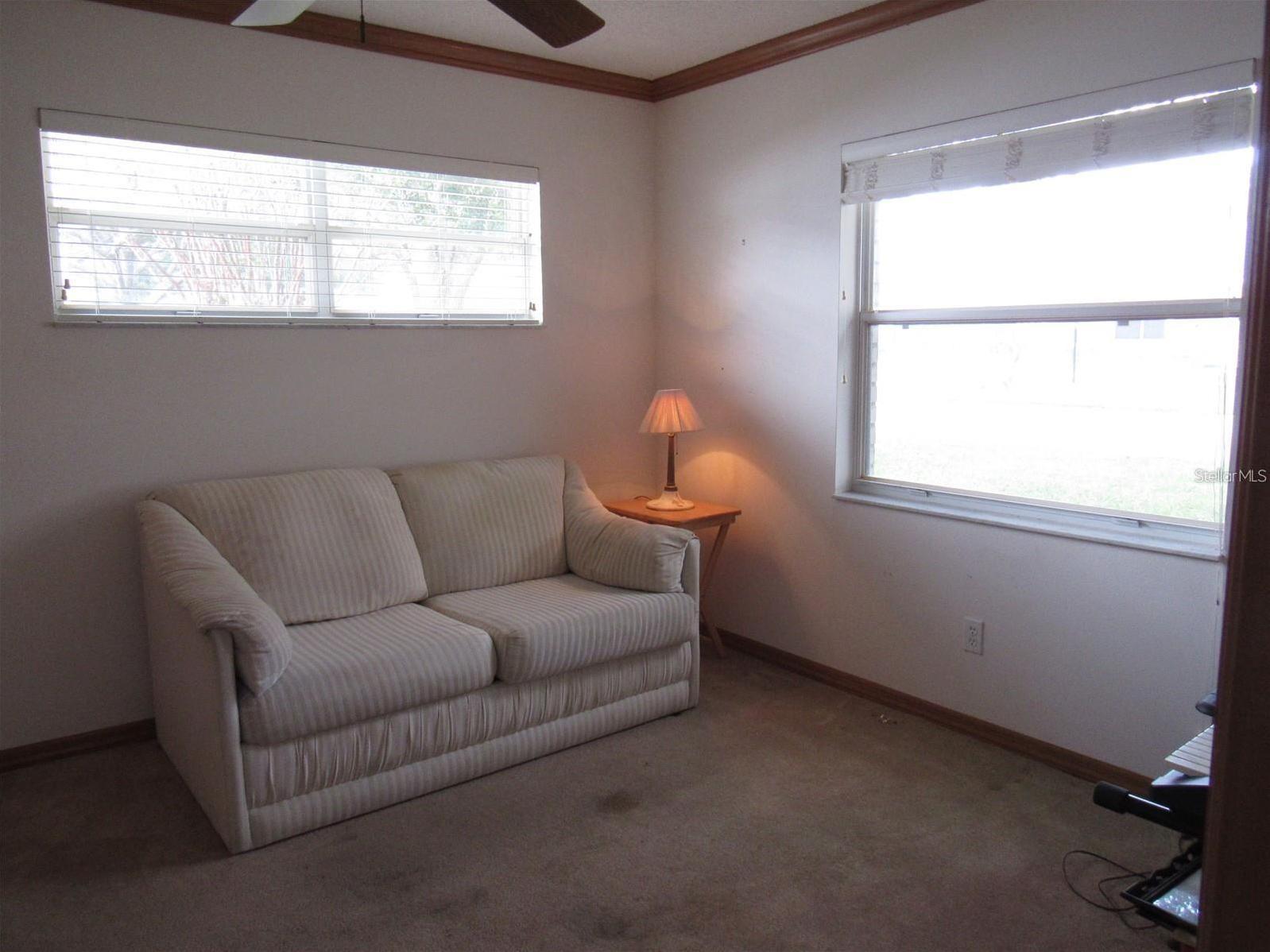 Photo #24