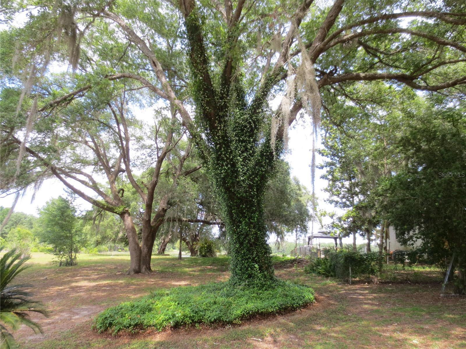 Photo #14