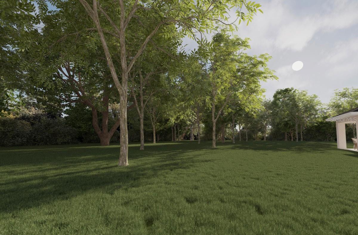 Photo #31