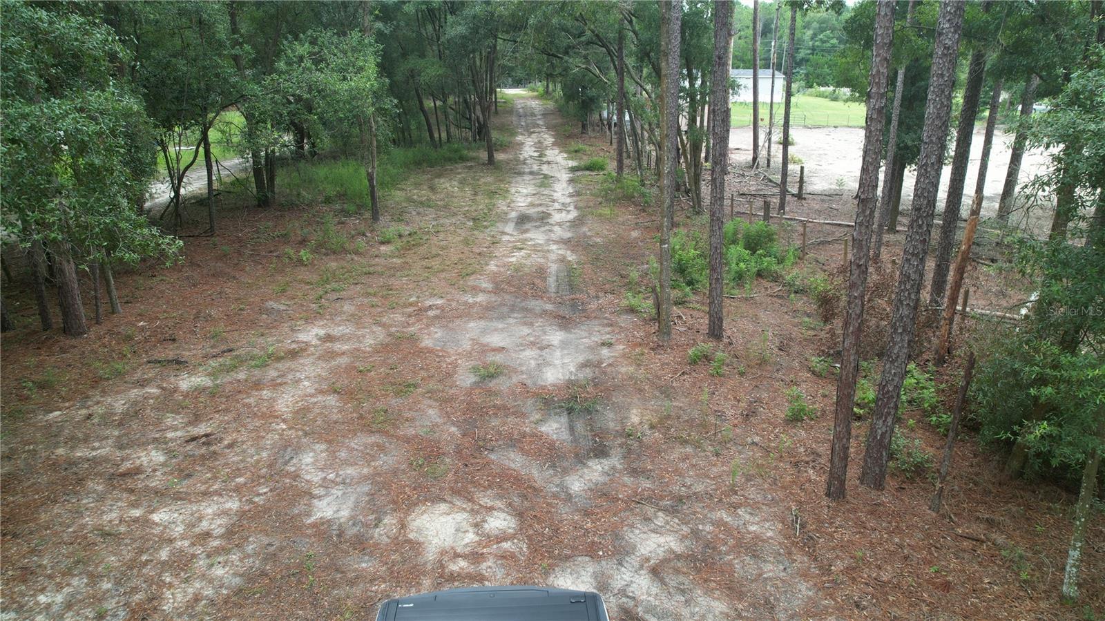 Photo #47