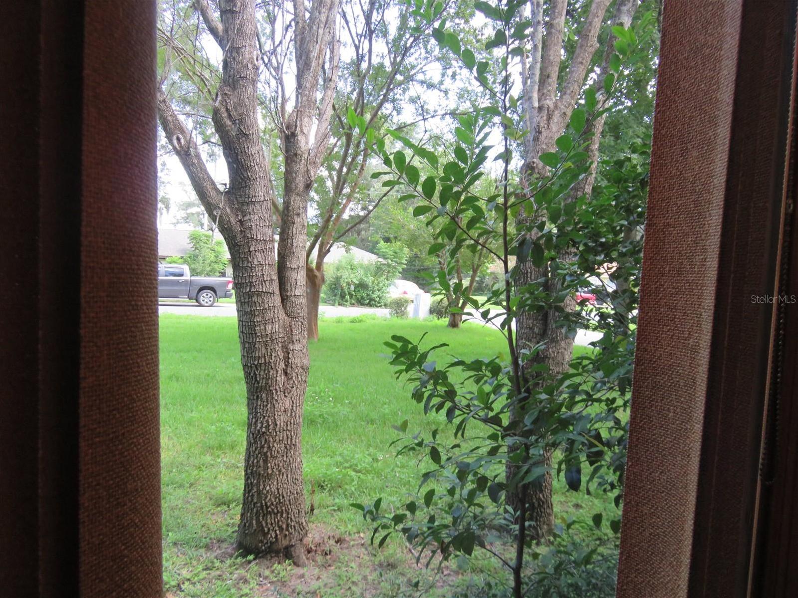 Photo #53