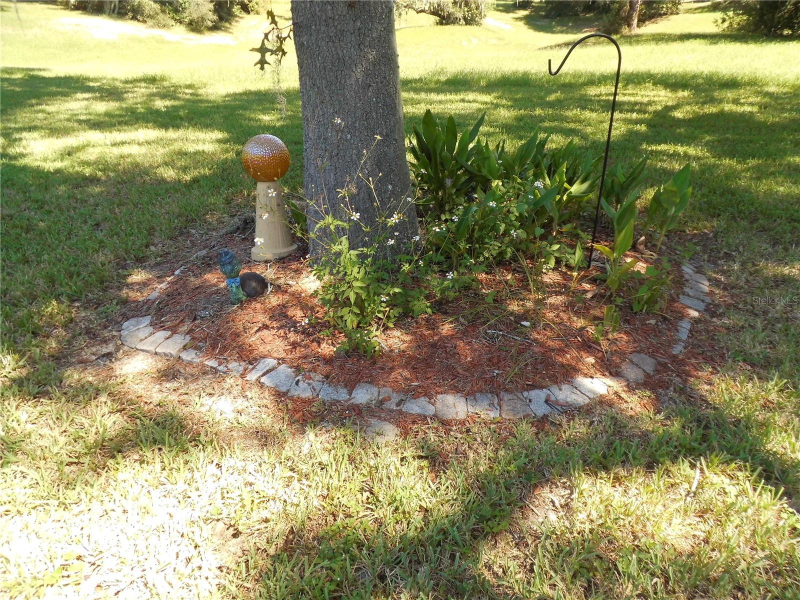 Photo #25