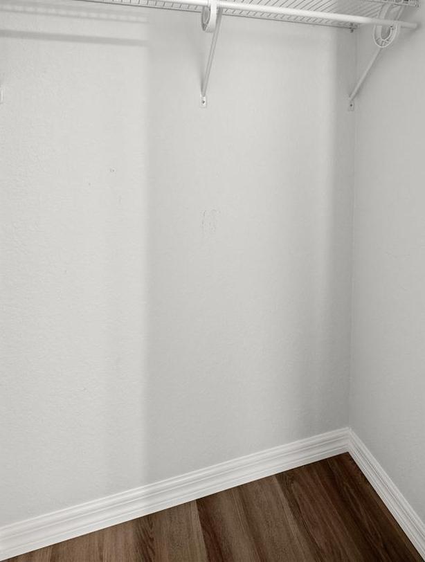 Photo #15