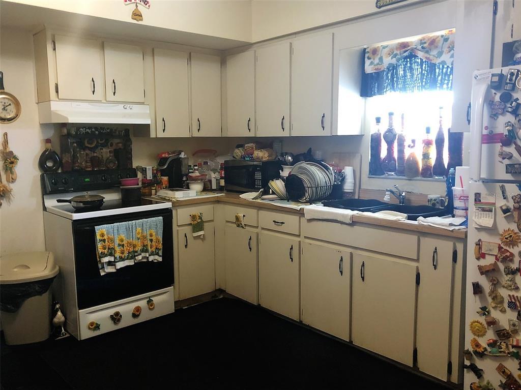 Photo #13