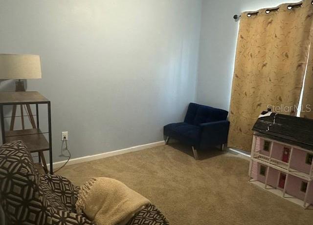 Photo #14