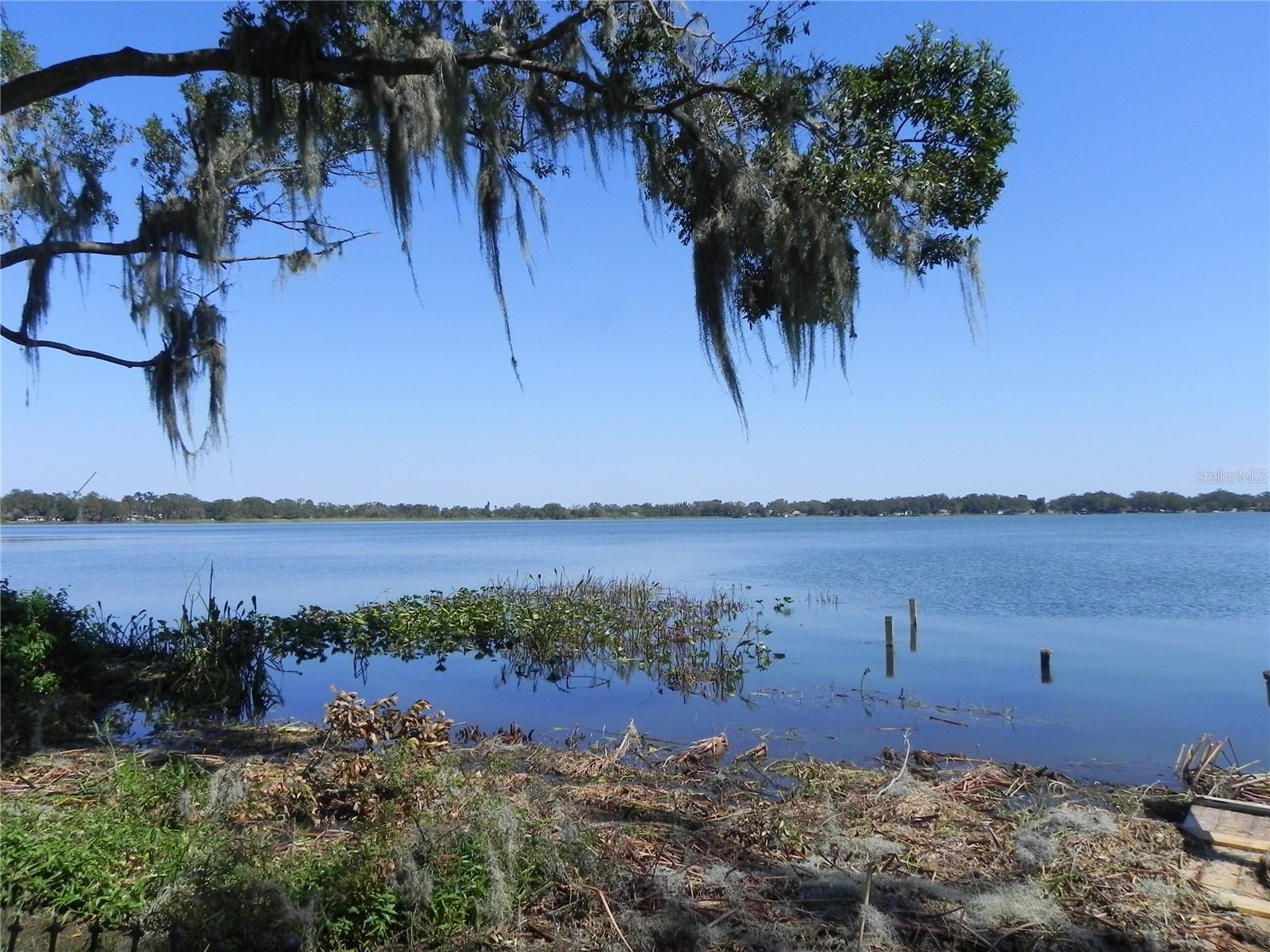 Photo #27