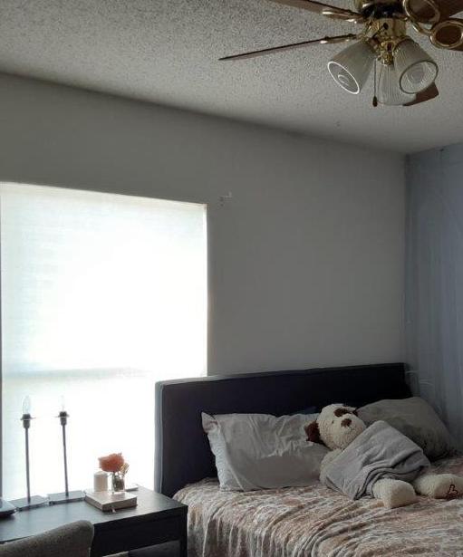 Photo #48