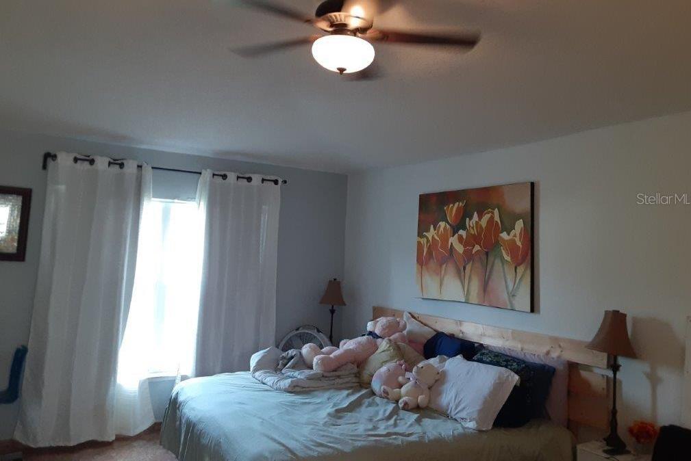 Photo #31