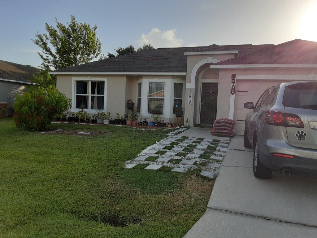 Photo #3