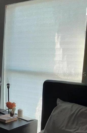 Photo #47