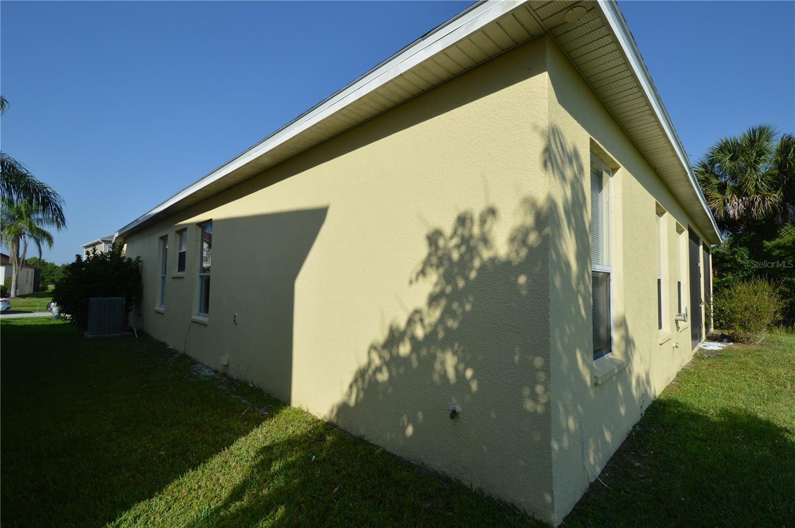 Photo #3