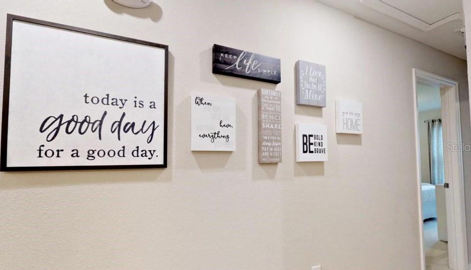 Photo #23
