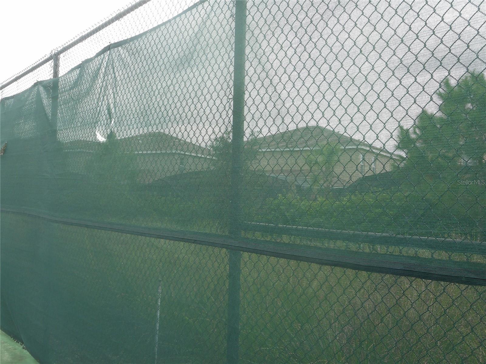 Photo #51