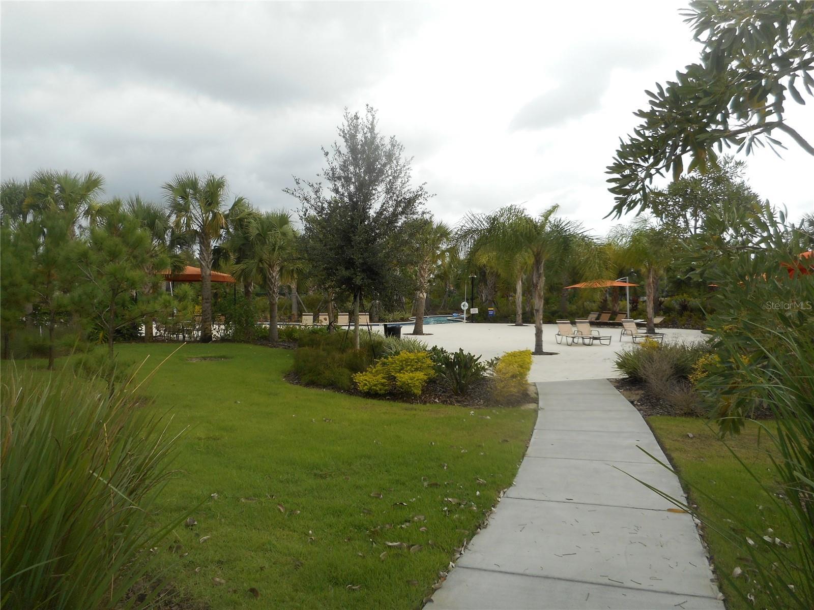 Photo #23