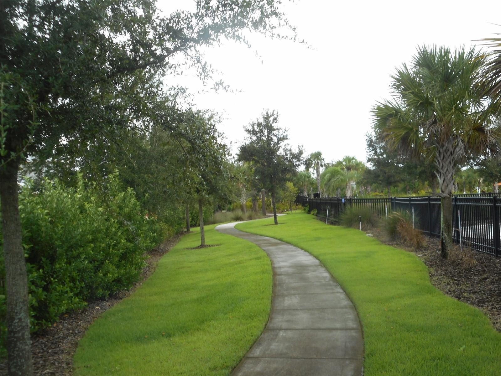 Photo #47