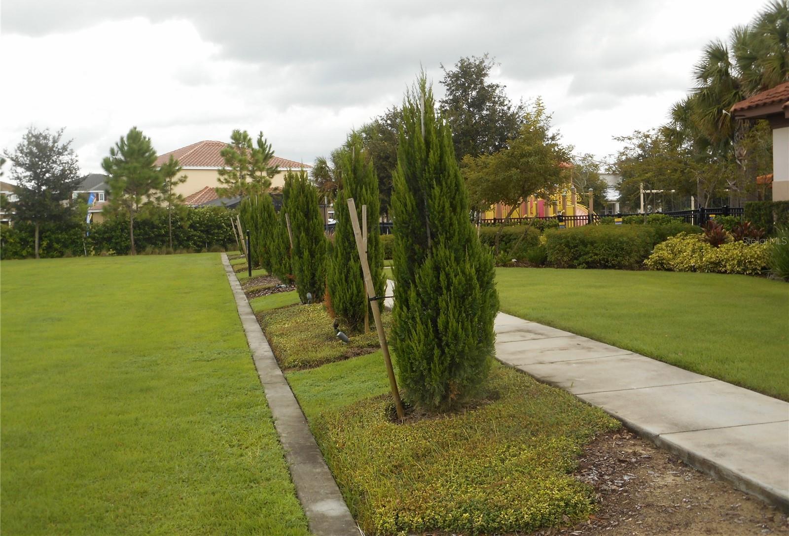 Photo #44