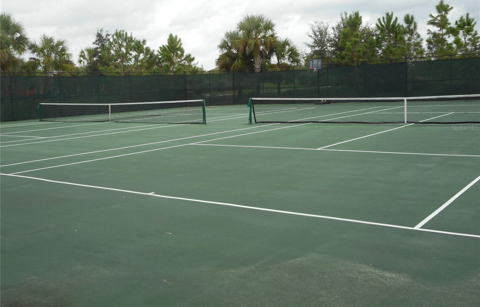 Photo #49
