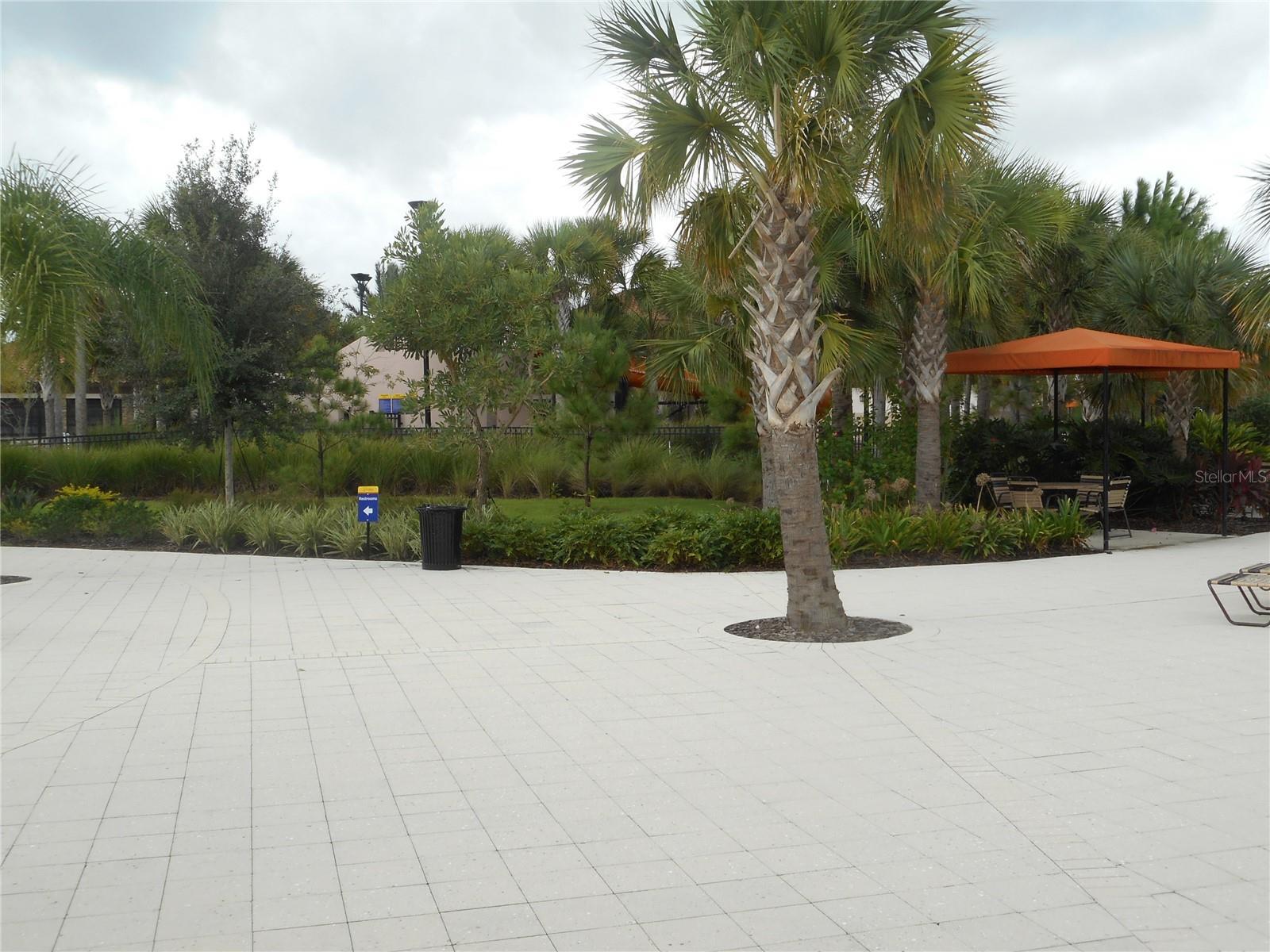Photo #29