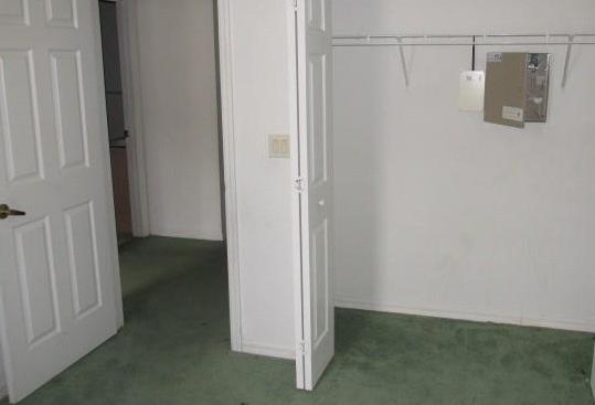 Photo #9