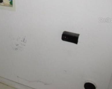 Photo #13