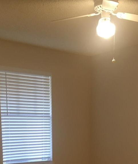 Photo #13