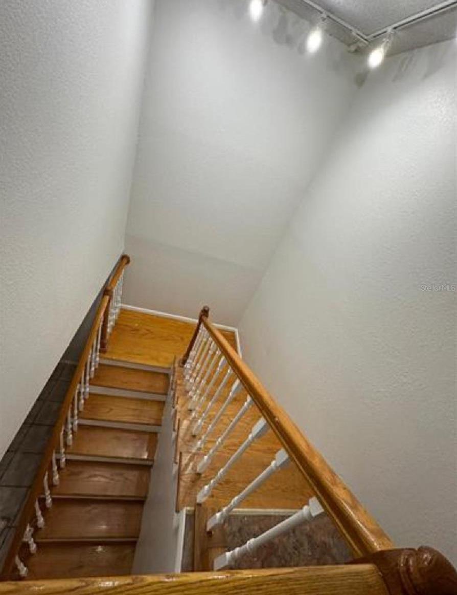 Photo #7
