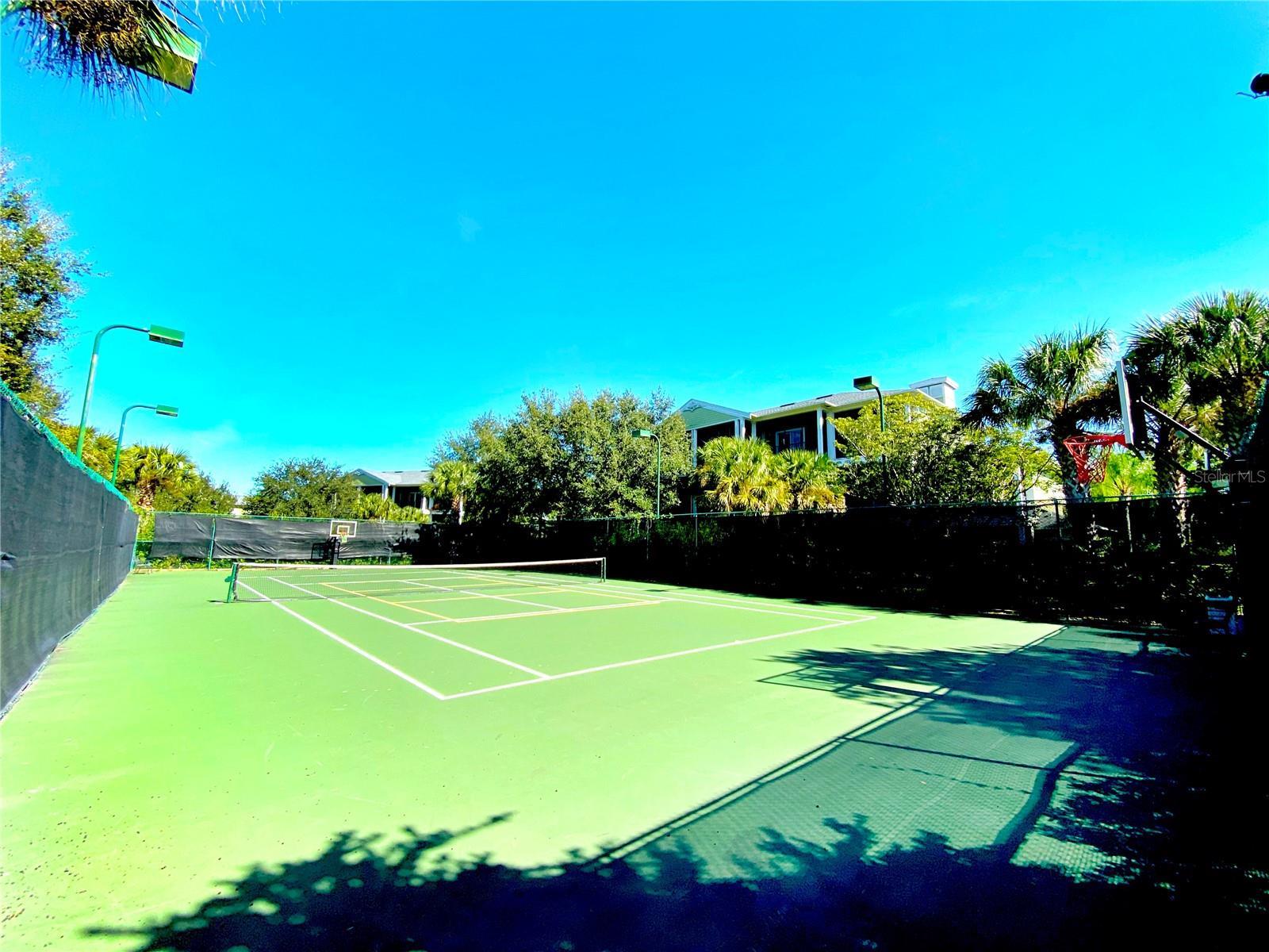 Photo #41