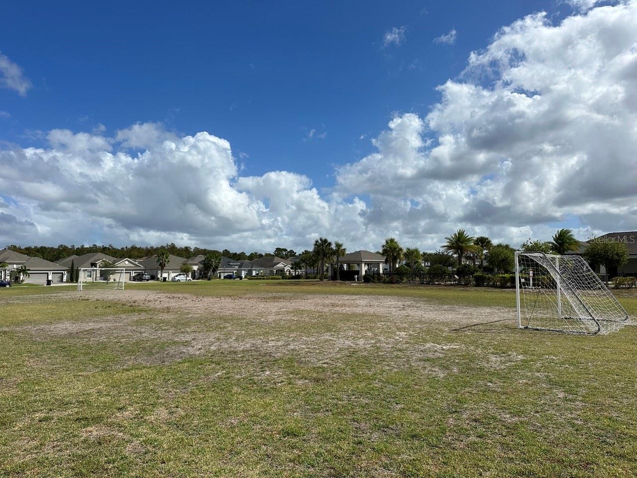 Photo #28