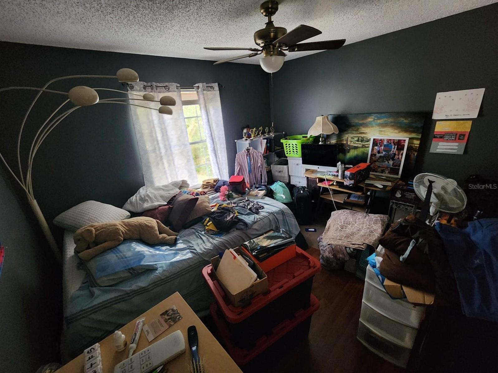 Photo #21
