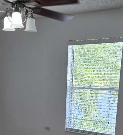 Photo #33